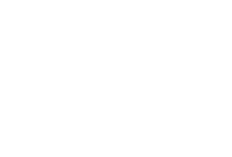 Envisionx logo